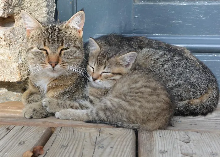 Nyaraló Aux Pays Des Sucs