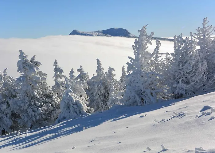 Aux Pays Des Sucs Nyaraló Saint-Hostien